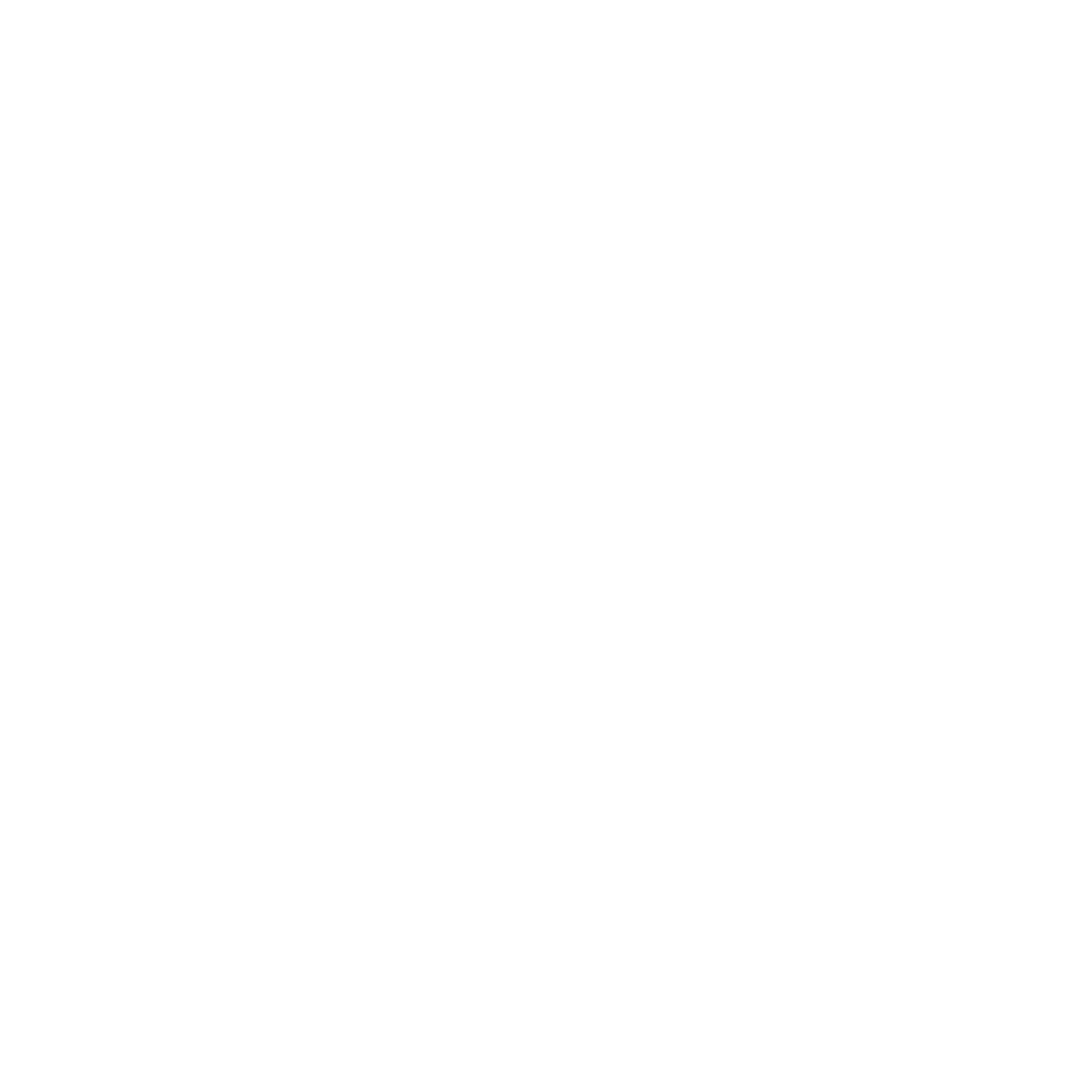 Microsoft Partner